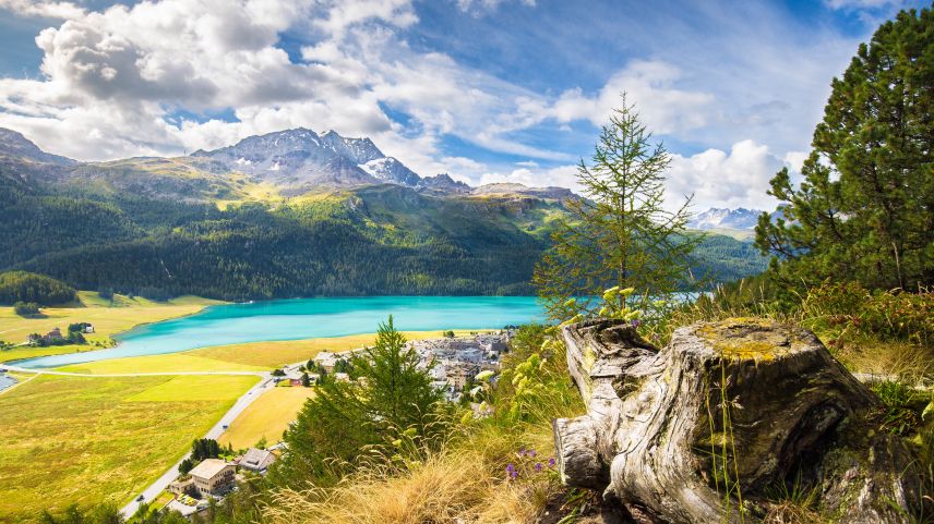 Im freien Spiel lernen Kinder Probleme zu bewältigen – eine wichtige Voraussetzung für glückliches Leben. Foto: Shutterstock/Studio Romantic